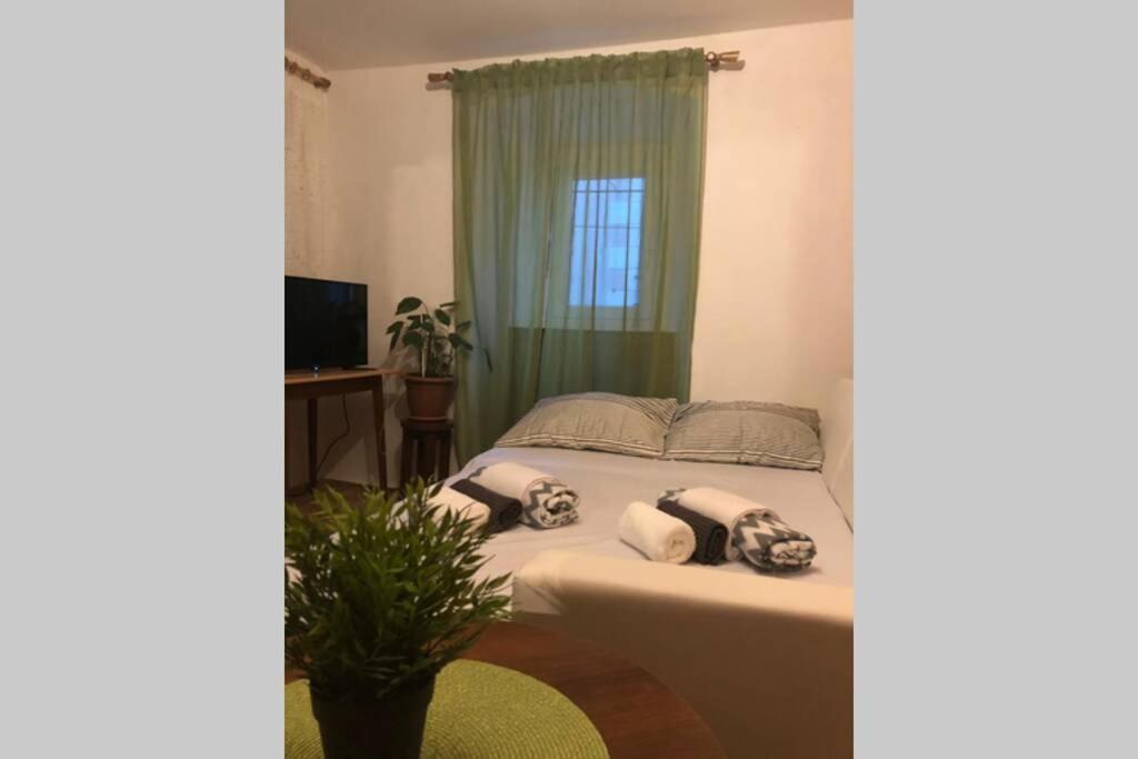 Apartman Kadic Senj 塞尼 外观 照片