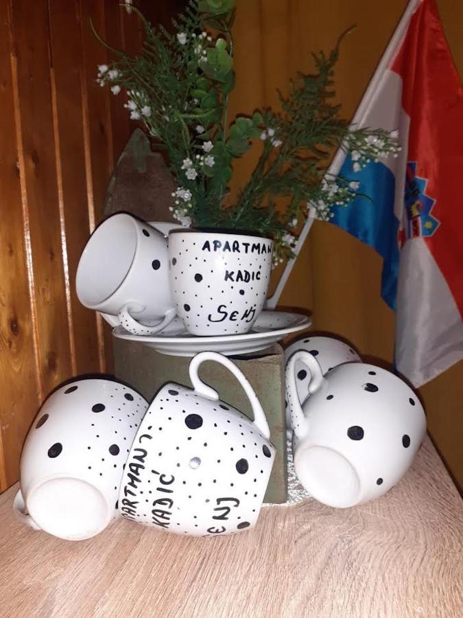 Apartman Kadic Senj 塞尼 外观 照片
